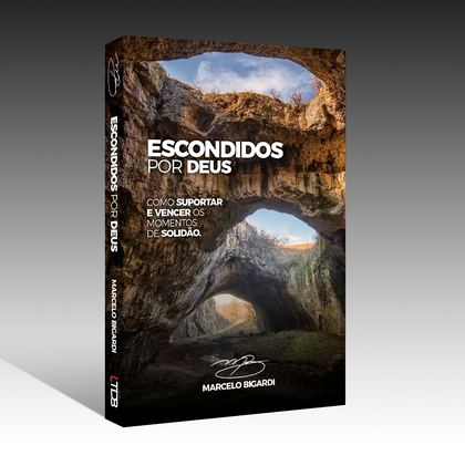 Capa do livro Escondidos por Deus